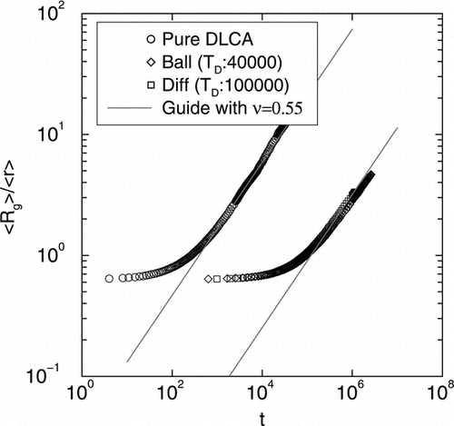 FIG. 7 Log-log plots of average radius of gyration of clusters < R g > versus time t for mono-disperse DLCA and DLCA with poly-disperse distributions originating from both ballistic and diffusive coalescence. The straight line part for all three curves yield an exponent of υ = 0.55.