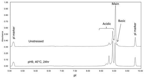 Figure 9. cIEF electropherogram overlay of unstressed (top) and high pH stressed (bottom) mAb A1.