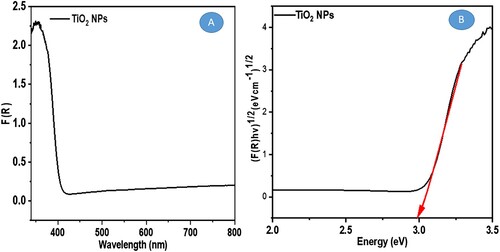 Figure 4. UV–Vis DRS spectroscopy, TiO2 NPs optically active region at (A) 402 nm exhibits visible region spectra and (B) band gap of 2.99 eV using Kubelka Munk function.