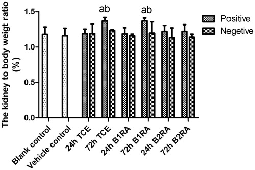 Figure 6. Kidney to body weight ratio. Value significantly different versus avehicle control, bcorresponding TCE sensitization negative group (each p < 0.05) (n = 82).