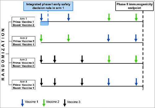 Figure 2. Illustration of a multi-arm phase I-II design evaluating 4 vaccine strategies in parallel and integrating an early safety decision rule for one of the vaccines (vaccine 1).