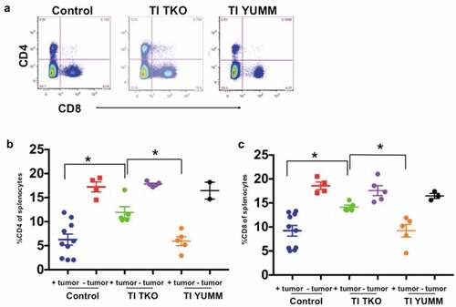 Figure 8. Transimmunization enhances systemic CD4 and CD8 T cell proliferation. Splenocytes were collected at the end of the study and analyzed by flow cytometry for CD4 and CD8. a. Representative dot plot images showing quadrant analysis for CD4 and CD8 in the different groups. b. Graphical representation of the percentage of CD4 cells. Data are presented as mean ± SEM; * p < .05. c. Graphical representation of the percentage of CD8 cells. Data are presented as mean ± SEM; * p < .05. Statistical analysis is performed using Ordinary One-way ANOVA with Tukey post hoc analysis.