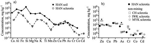 Figure 3. (a)The elemental concentrations in soil and sclerotia at Hangetsu (HAN) site. Error bars are based on standard error (SE). Cd concentration in HAN soil was not determined. (b) Comparison of minor element concentrations in sclerotia between HAN site and non-mining sites: CH, IWK and MYK. Data for the non-mining sites: CH, IWK and MYK are obtained from Nyamsanjaa et al.(2021). Error bars are based on standard error (SE). Asterisk mark (*) denotes significant difference between HAN sclerotia and non-mining areas sclerotia at p < 0.05.