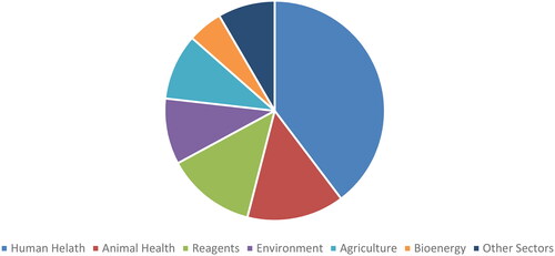 Figure 12. Distribution of Brazilian biotech companies (2017) [Citation38].