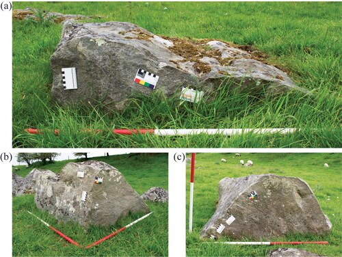 FIG. 16 Split sarsens in Piggledene with wedge-pit positions marked by scale cards: (a) stone [28] with three wedge-pits visible in the split face; (b) stone [12] with half a wedge-pit in the north face and two wedge-pits in the west face; (c) stone [34] with four wedge-pits in the split face (photographs © author).