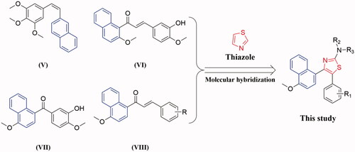 Figure 2. The design strategy of the target compounds in this study.