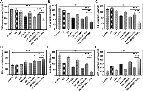 Figure 6 The levels of cytokines and oxidative stress in mice after 14 days of different treatments. (A–D) The serum levels of TNF-α (A), IL-6 (B), IL-8 (C), and IFN-γ (D) in the infected mice after 14 days of different treatments. (E) The activities of SOD in the granuloma tissue of infected mice. (F) The content of MDA in the granuloma tissue of infected mice. The data represent the mean ± SD of three independent experiments. *p < 0.05, **p < 0.01, ***p < 0.001.