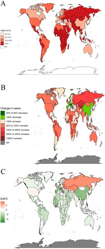 Figure 2. Disease burden of cirrhosis mortality in 204 countries and territories worldwide: A. ASR for cirrhosis mortality in 2019; B. Changes in the cases of cirrhosis from 1990 to 2019; C. EAPC analysis of cirrhosis ASR from 1990 to 2019. ASR, age-standardized rate; EAPC, estimated annual percent change. Source: Institute for Health Metrics and Evaluation. Used with permission. All rights reserved.