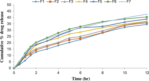 Figure 10. % cumulative drug release from all 7 formulations of Eudragit E 100/PCL microspheres using PVA as an emulsifier (1%) and 0.250 g of MZB at pH 7.4.