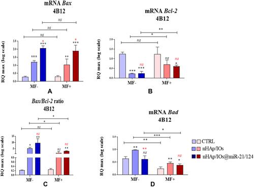 Figure 8 The impact of the nanocomposites alone and in combination with the miR21/124 on the expression on Bax (A), Bcl-2 (B),Bad (D) and ratio Bax/Bcl-2 (C) associated with apoptosis in MC3T3-E1 cell line. Significant differences are indicated as follows (*p<0,005, **p<0,001 and ***p<0,001) and non-significant are marked as ns. The comparisons between groups are marked with brackets. The black symbols refer to the differences between CTRL and nHAp/IO groups, while red symbols are for nHAp/IO and nHAp/IO@miR-21/124 groups.