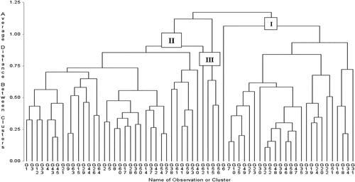 Figure 1. Dendrogram displaying 64 cassava accessions hierarchical clustering pattern based on seven crop ages for harvest.