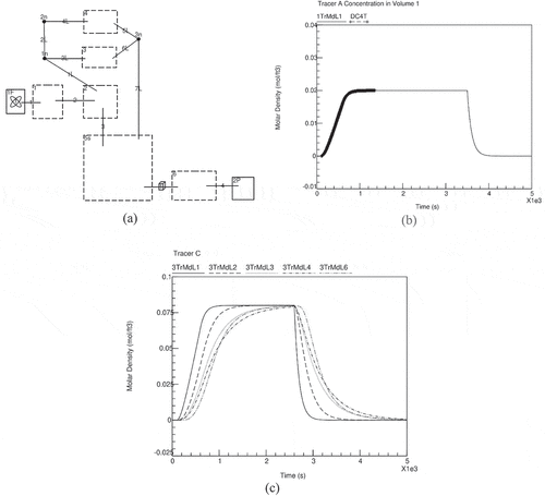 Fig. 5. Verification of tracer transport