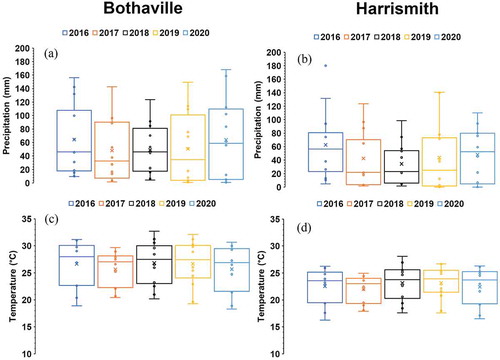 Figure 3. Meteorological conditions (i.e., mean annual precipitation and temperatures) between 2016 and 2020 in Bothaville (a and c) and Harrismith (b and d). The mean is indicated by x, while the median is indicated by a solid line within the box plots. Data sourced from TerraClimate (.Abatzoglou et al. Citation2018) and accessed from Climate Engine (Huntington et al. Citation2017)
