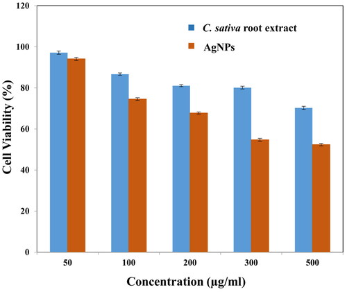 Figure 8. Cell viability of HEK 293 cells treated with different concentrations of biosynthesized AgNPs, investigated using MTT assay. The cell viability was observed to reduce at very high concentration of AgNPs (i.e. 200–500 µg/ml).