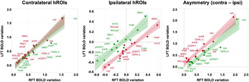 Figure 6. Comparison of BOLD variations during left finger tapping (LFT) versus right finger tapping (RFT) across a set of 13 homotopic regions of interest (hROIs) in the group of right-handers (RH) and left-handers (LH). In each panel, individual hROI BOLD variation values, regression line across the 13 hROIs and 95% confidence area, are displayed separately for RH (green) and LH (red). Left panel: group average BOLD variations in contralateral hROIs; middle panel: group average BOLD variations in ipsilateral hROIs; right panel: group average BOLD variations asymmetry (contralateral minus ipsilateral). Note the shift between the RH and LH ipsilateral BOLD variation regression lines (middle panel) illustrating the increased ipsilateral deactivation in LH when moving their dominant left hand.