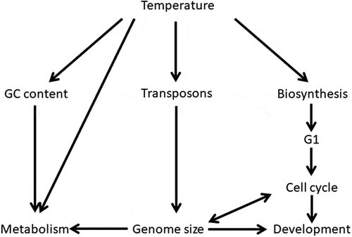 Figure 2. Schematic representation of interactions between genome features and parameters