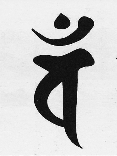 Figure 5. The letter VAṂ.