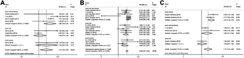 Figure S2 Forest plot of hazard ratio (HR) for the subgroup analyses of the tissue distribution of paper: CD68+ TAMS on OS (A); CD163+ TAMS on OS (B); CD204+ TAMS on OS (C).