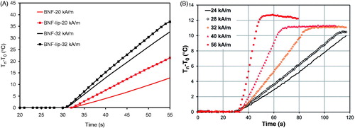 Figure 2. BNF versus BNF-lip formulation heating when exposed to AMF. (A) Direct comparison of specific heating rate of BNF with BNF-lip, (dT/dt) × (1/mg Fe), measured by estimating the slope of temperature versus time curve, where dT/dt is the slope of temperature versus time curve determined using methods reported by Bordelon et al. [Citation36]. Heating comparisons were performed at peak amplitudes 20 and 32 kA/m and 155 (± 5) kHz. (B) Specific heating rate measurements of BNF-lip formulation with varying amplitude at 155 (± 5) kHz.