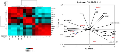 Figure 3. Loading plots of principal components 1 and 2 of the PCA (right) and hierarchical cluster analysis (left). Results obtained from the biochemical and molecular data of safflower subjected to salinity and SA.