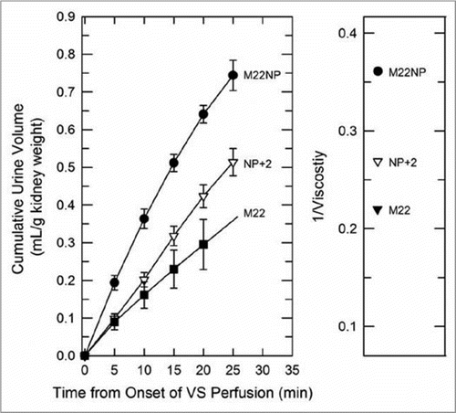 Figure 7 Left: urine accumulation during perfusion with M22, M22NP + 2% X1000 (NP + 2), and M22NP at −3°C; right: reciprocal viscosities of these three vitrification solutions (cP−1). the total accumulated urine volumes are inversely proportional to the total viscosity of each VS (M22 = 4.54 cP; M22NP + 2X = 3.71 cP; M22NP = 2.77 cP). the urine volume for M22 at 25 min was not consistently recorded and so is indicated by extrapolation. Data points represent means ±1 SEM.