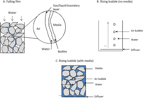 Figure 1. Common methods of air delivery to wastewater: (a) Falling films; (b) rising bubbles (non-media system) and (c) rising bubbles (media system).