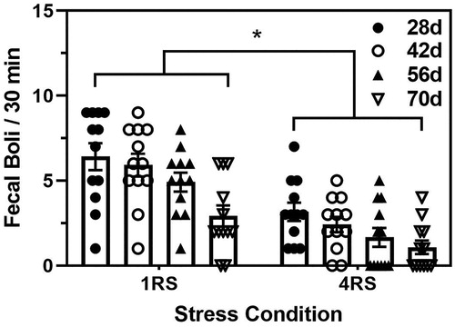 Figure 4. Mean (± SEM) fecal boli per 30 min of the terminal stress session in 28d (closed circles), 42d (open circles), 56d (closed triangles), and 70d (open triangles) male rats exposed to a single 30 min session of restraint stress (1RS) or a single 30 min session of restraint stress on four consecutive days (4RS). Asterisks indicates a significant difference between the stress conditions.