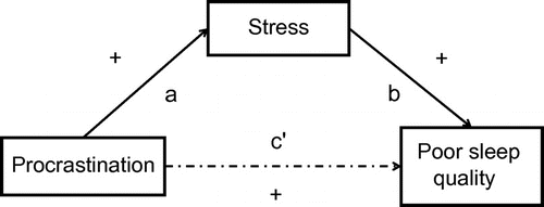 Figure 1. Procrastination–health model showing the hypothesized indirect effects of trait procrastination on sleep quality through perceived stress.