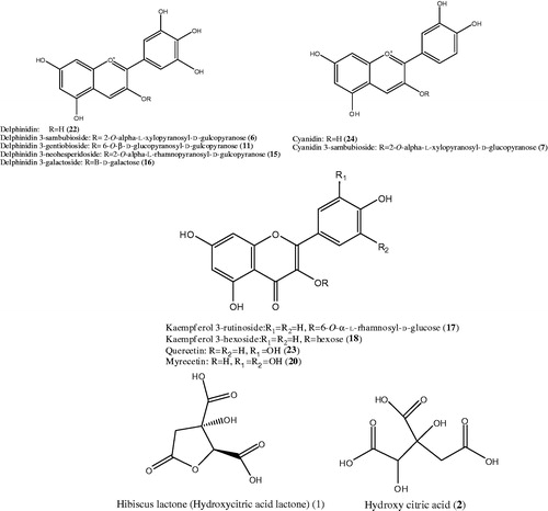 Figure 2. Structures of some identified compounds detected via UPLC-qTOF-PDA-MS analysis of H. subdarifa anthocyanin-rich extract (HSARE).