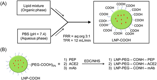 Figure 2 Schematic illustration of the preparation of LNP-COOH following microfluidic mixing (A). The lipid mixture DOPC/DSPC/cholesterol/DSPE-PEG-COOH/DiO (46.5/10/38/5/0.5 molar %) in ethanol (organic phase) was micromixed with PBS at the flow rate ratio (FRR) of aq:org 3:1 and a total flow rate (TFR) of 12 mL/min to yield LNP-COOH. The LNP-COOH was tagged using a green fluorescent (DiO) or near-infrared fluorescent (DiR) dye. Post-synthesis surface modifications of the LNP-COOH with various spike RBD binding ligands were performed via EDC/NHS coupling reaction (B).