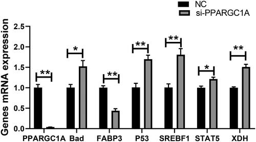 Figure 1. Relative mRNA expression of genes involved in milk production following RNAi Treatment.