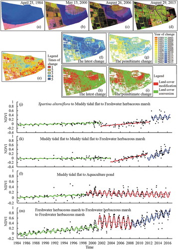 Figure 2. Examples of land-cover changes in the wetland ecosystem of Site 1 shown in Figure 1. (a)–(d) show the color composites (shortwave infrared, near-infrared, and red spectral bands) from Landsat in typical years. (e)–(i) show the times of changes, years in which the latest and penultimate changes occurred, and LCC and LCM. (j)–(m) are the observed NDVI and fitted NDVI using a time-series model for general LCC and LCM in the reclaimed area based on 3 × 3 pixels. Locations of (j)–(m) are shown in (d).