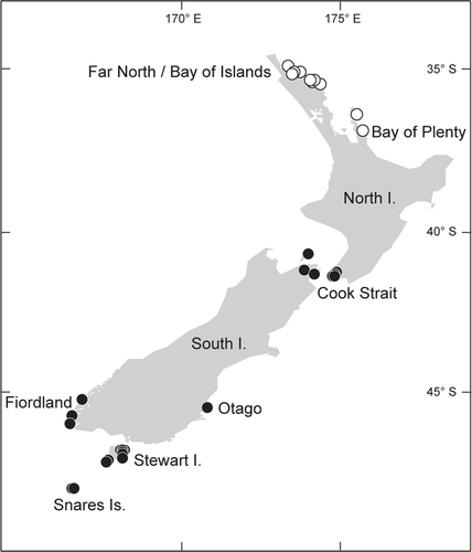 Fig. 1. Map of the distribution of the species of Sarcodia in New Zealand. Open circles: collection localities of S. montagneana. Solid circles: collection localities of S. grandifolia.