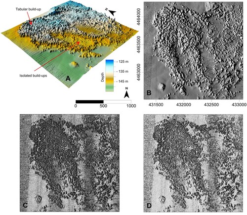 Figure 4. (a) 3D view of the Digital Terrain Model (DTM) in a sector of the western Sardinia continental shelf (location in Figure 1), showing tabular and isolated builds-ups; (b) planar view of the DTM (B), slope (c) and roughness index (d) of the same sector. The coordinates are expressed in meters (UTM-WGS 84-32N zone).