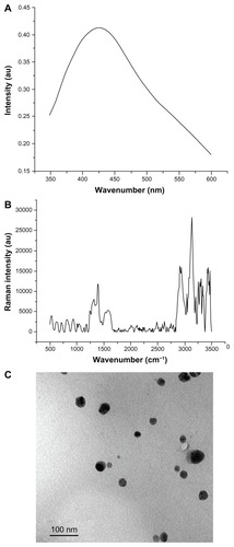 Figure 1 Silver nanoparticle analysis. (A) Ultraviolet spectrum showing the presence of plasmon at 410 nm. (B) Raman dispersive spectra indicating characteristic peaks of silver nanoparticles at 1410 cm−1 and 1620 cm−1. (C) Transmission electron micrograph showing spherically shaped nanoparticles and particles measuring 10–20 nm.