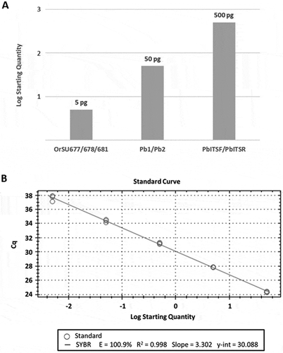 Fig. 2 Sensitivity of Pyrenopeziza brassicae-specific primers in detecting Oregon isolates. (a) Pathogen-specific primers (Table 1) were used to screen 10-fold serial dilutions of total genomic DNA isolated from pure cultures of P. brassicae via conventional PCR (Pb1/Pb2 and PbITSF/PbITSR) or real-time PCR (OrSU677/OrSU678). The values shown indicate the minimum amount of P. brassicae genomic DNA required for detection of the pathogen by each method. This experiment was conducted using genomic DNA isolated from multiple isolates of both mating types of P. brassicae (MAT-1 and MAT-2) with identical results for both mating types over three replicates. (b) A series of 10-fold dilutions wereused to generate a standard curve via real-time PCR. Primers OrSU677/OrSU678 were used to screen total genomic DNA isolated from pure cultures of P. brassicae. Quantities shown range from 5 pg to 50 ng of total genomic DNA.