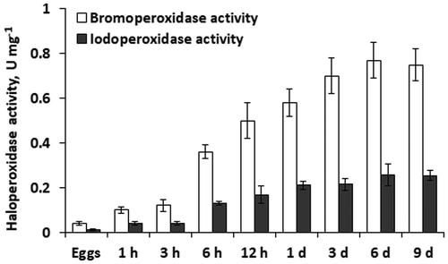 Fig. 1. Specific bromo- and iodoperoxidase activity in eggs, zygotes (1 h to 12 h) and embryos (1 day to 9 days) of Fucus vesiculosus during 9 days after fertilization. h, hours; d, days. Bars are means ± SD.