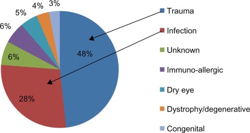 Figure 2 Etiological categorization of lesions.