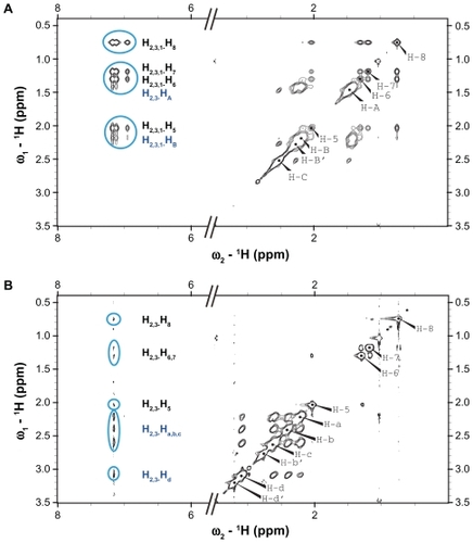 Figure 4 1H-1H nuclear Overhauser effect spectra of dendrimer-phenylbutazone complexes. (A) Generation 4 PPI and (B) generation 3 PAMAM dendrimer.Abbreviations: PAMAM, polyamidoamine; PPI, polypropylenimine.