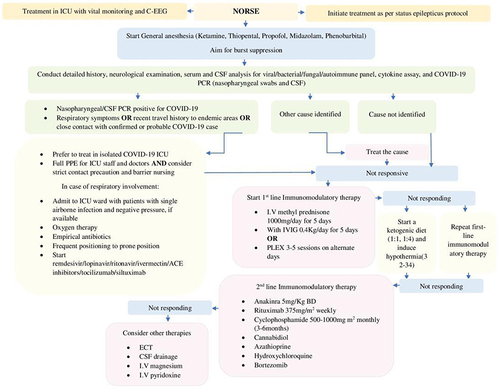 Figure 2 Algorithm for management for patients with NORSE secondary to COVID-19.