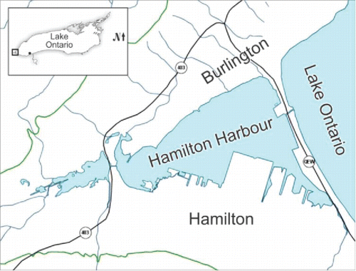 Figure 1. Location of Hamilton Harbour, Lake Ontario.