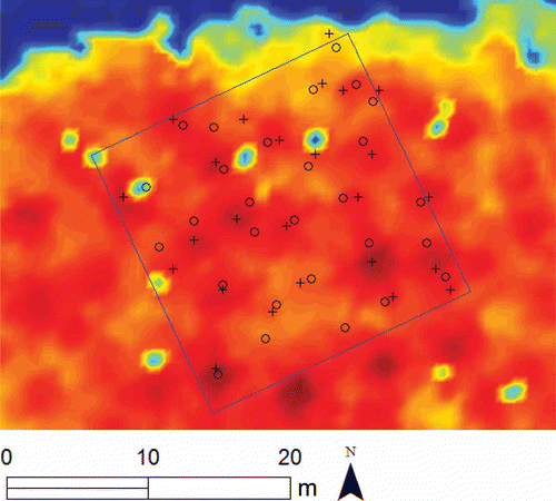 Figure 10. Estimated tree positions by lidar analysis (+) and field measurements (○) in sampling area 1.