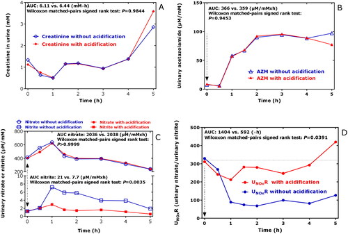 Figure 2. Time course of (A) the creatinine concentration in the urines samples collected in the study, of (B) the creatinine-corrected excretion rate of AZM (AZM), of (C) the creatinine-corrected excretion rates of nitrate and nitrite, and of (D) the urinary nitrate-to-urinary nitrite (UNOxR) in the respective urine samples without (blue) and with acidification (red) using 20 wt% acetic anhydride. Acidification of urine is required for the accurate measurement of nitriteCitation12, but not for other analytes including nitrate, creatinine, AZM and amino acids. AUC, area under the curve. AZM, acetazolamide.