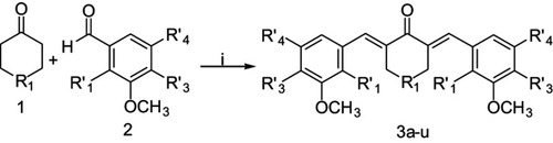 Scheme 1 Synthesis scheme of α,β-unsaturated carbonyl-based compounds. Reagents and conditions: (i) NaOH, EtOH, room temperature.