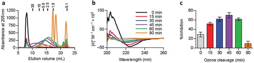 Figure 6. Effect of the size of PSA on its structural conformation and function. (a) overlaid Superdex-75 elution characteristics of ozone-cleaved PSA samples; (b) CD spectra of ozone-cleaved PSA, showing the progressive loss of helical character as more ozone-mediated breaks are introduced. Full-length PSA is shown at 0 min and exhibits greatest helicity; the smallest fragments are in 90-min incubated samples in which the shallow spectra indicate loss of helicity; and (c) PSA binding to MHCII protein, measured by comparison with a conventional peptide antigen. Colour coding of fragment sizes are retained through all panels. Taken from Kreisman et al. (Citation2007). Reproduced by permission from Oxford University Press.