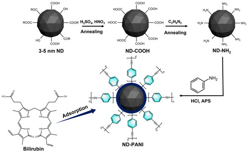 Figure 1. Schematic illustration of the preparation process of the ND-PANI nanocomplex.