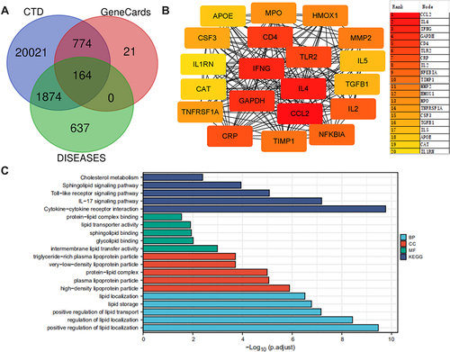 Figure 1 Bioinformatic analysis of lipid metabolism associated with sepsis/ G-sepsis. (A) A total of 164 common genes on sepsis or gram-negative sepsis from CTD, GeneCards and DISEASES databases by Venn Diagram software. (B) Screened out 20 top hub genes by Cytoscape from the co-expression genes. (C) The enrichment analysis of lipid metabolism associated with sepsis/ G-sepsis.