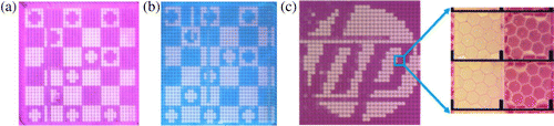 Figure 6. Integration of the front and back planes with (a) magenta ink, (b) cyan ink, and (c) macroscopic and microscopic images.
