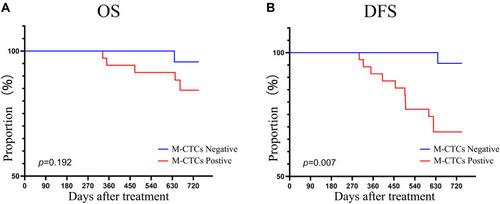 Figure 5 Correlation of positive M-CTCs at baseline with (A) OS and (B) DFS in colorectal cancer patients.