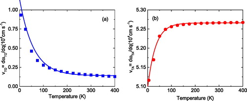 Figure 3. (a) vTO in the limit q → 0 as a function of temperature, (b) the same as (a) but for vTA. The squares and circles refer to the calculations, the full lines are obtained from an exponential fit to the calculation. Note, that the scale of the y-axis is different in both figures.